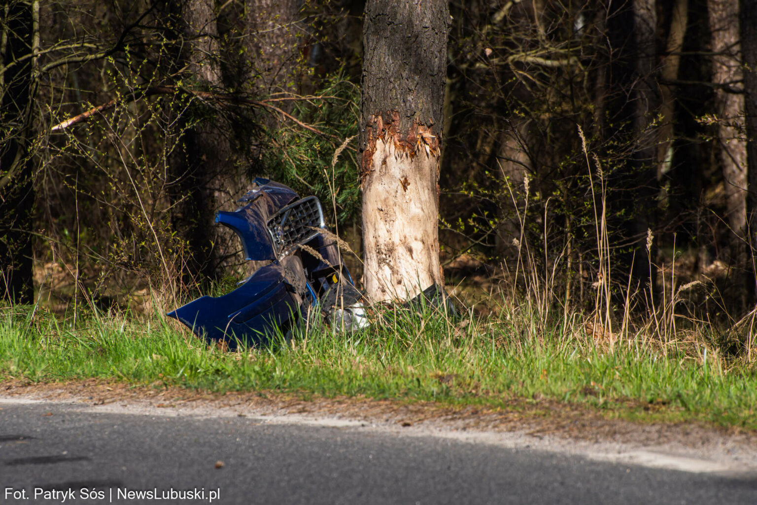 Wypadek koło Zielonej G&oacute;ry - uderzył w drzewo