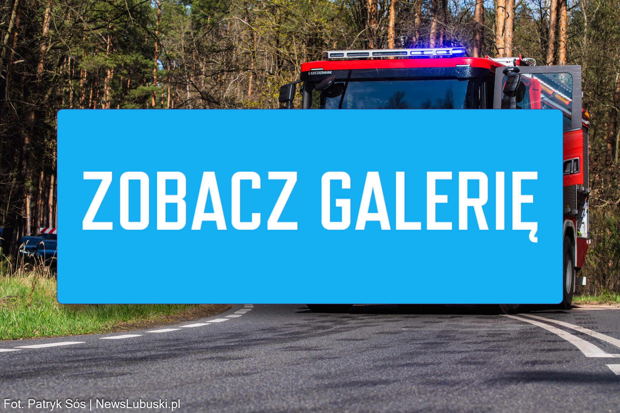 Wypadek koło Zielonej Góry - uderzył w drzewo