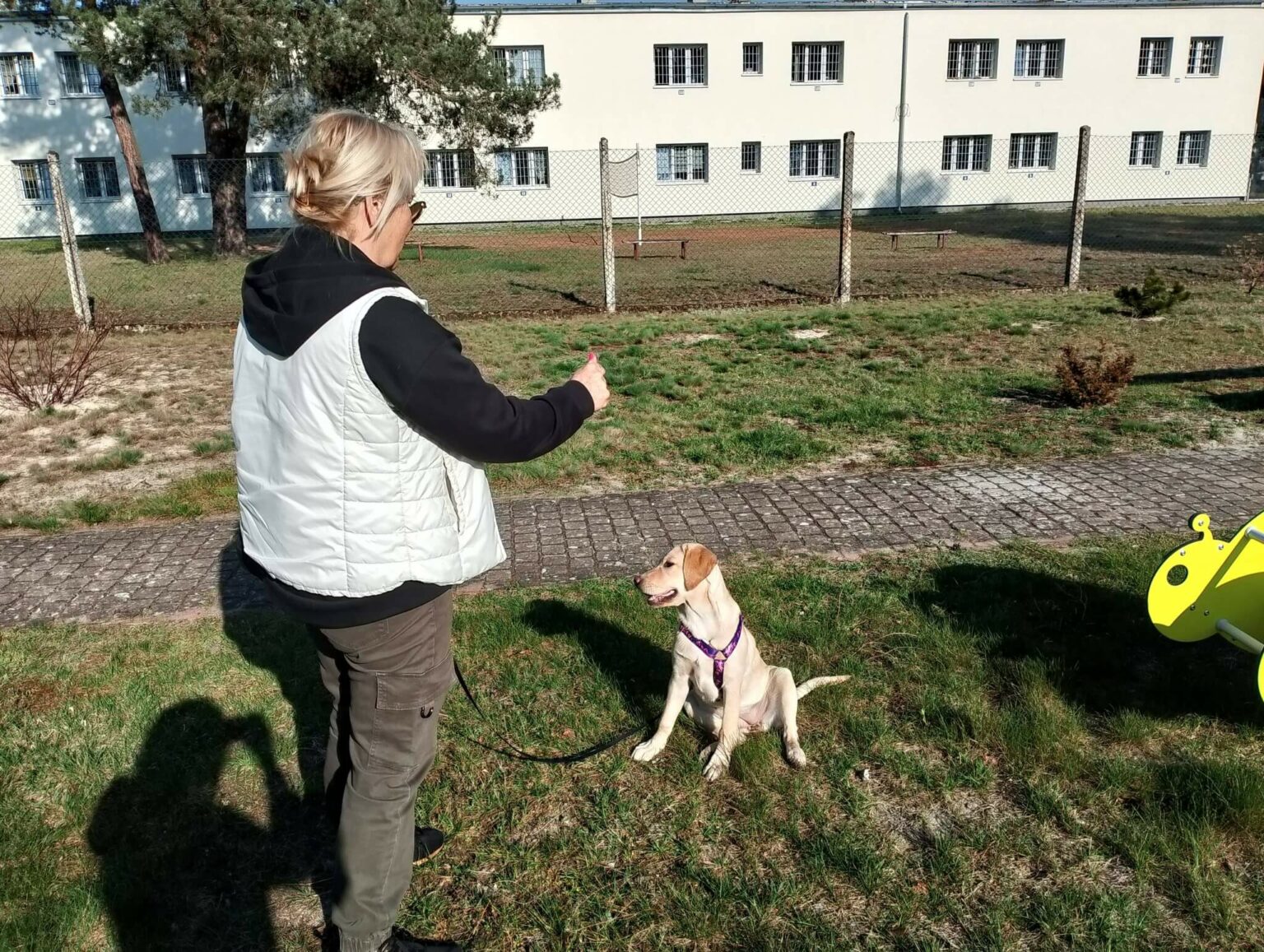 zakład karny Krzywaniec dogoterapia - dom matki i dziecka więzienie