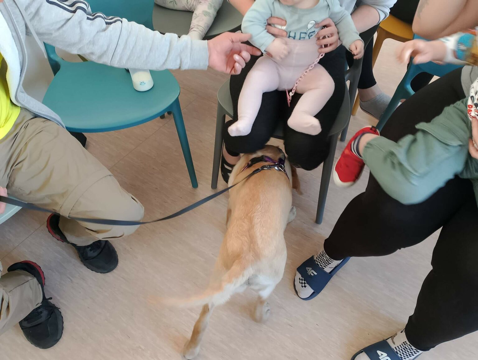 zakład karny Krzywaniec dogoterapia - dom matki i dziecka więzienie