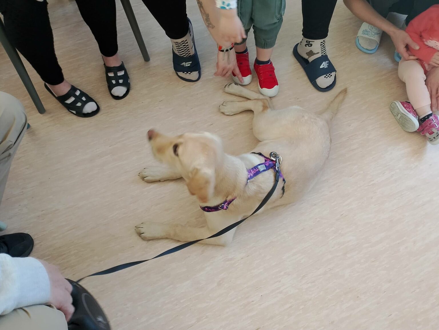 zakład karny Krzywaniec dogoterapia - dom matki i dziecka więzienie