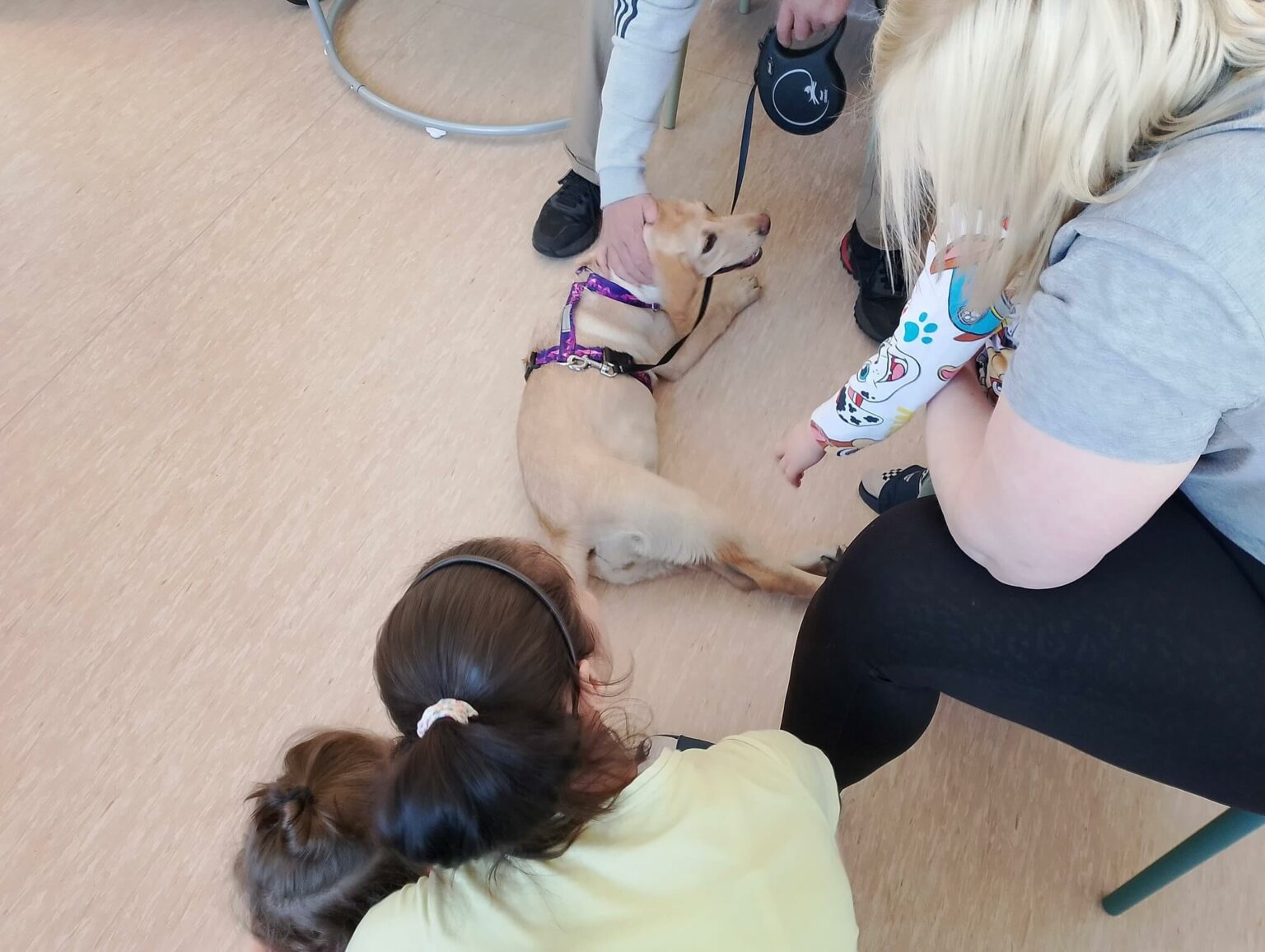 zakład karny Krzywaniec dogoterapia - dom matki i dziecka więzienie