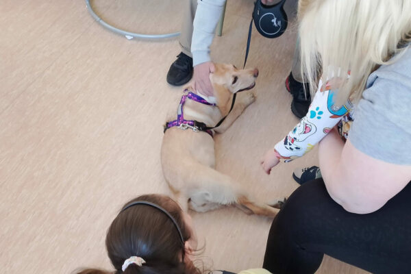 zakład karny Krzywaniec dogoterapia - dom matki i dziecka więzienie