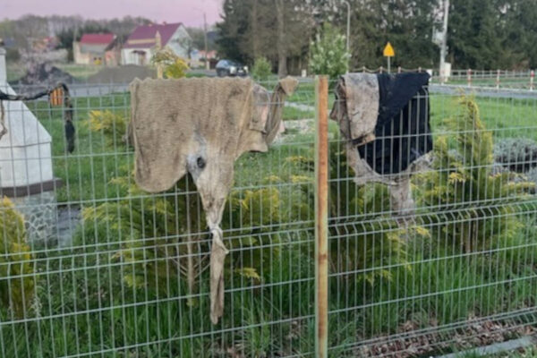 kanalizacja Zielona Góra problem - przepompownie ścieków problemy Świdnica