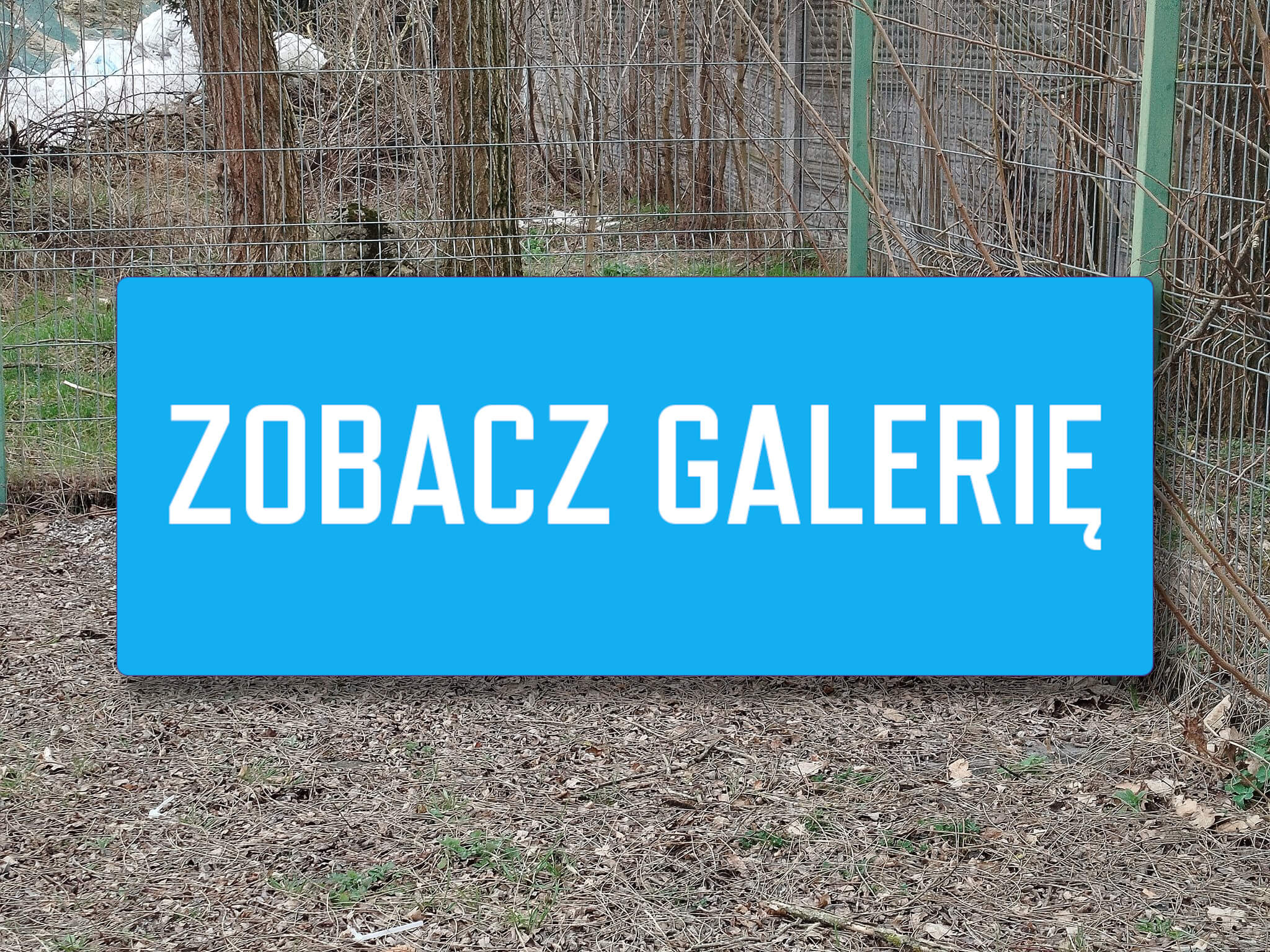 kanalizacja Zielona Góra problem - przepompownie ścieków problemy Świdnica