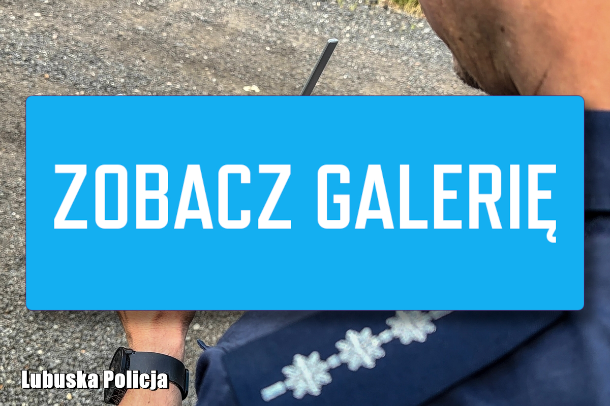 Wielka akcja policji na S3. Drony tropiły „wyścigi słoni” akcja policji S3 - wyścigi słoni ciężarówek