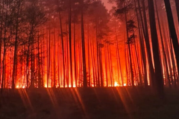 katastrofa samolotu - pożar lasu biłgoraj