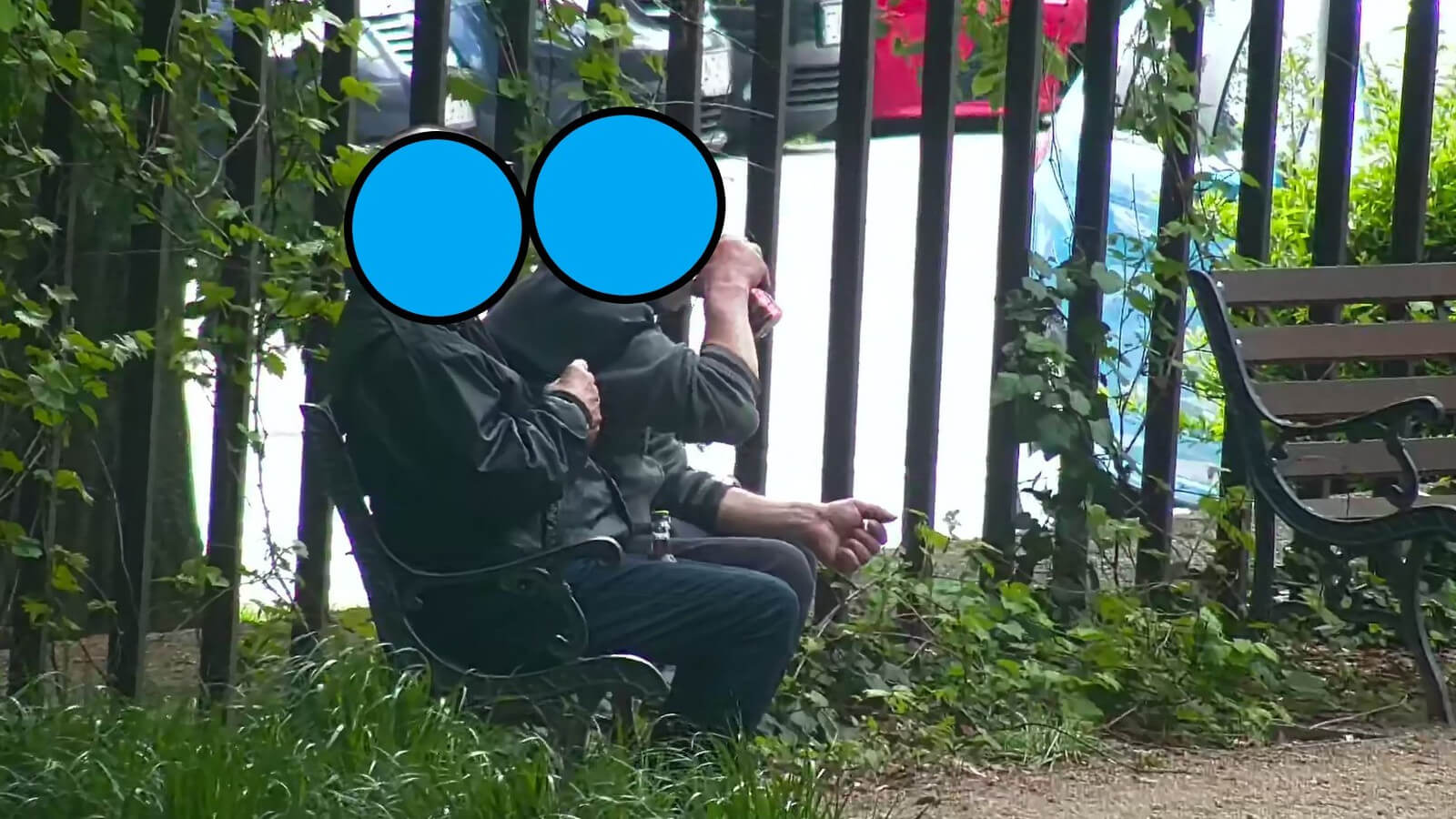 monitoring Żary - straż miejska interwencja