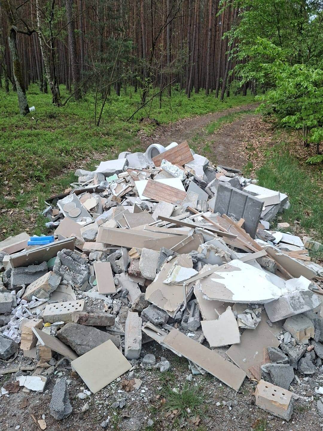 odpady w lesie koło Zielonej Góry - wyrzucił śmieci do lasu