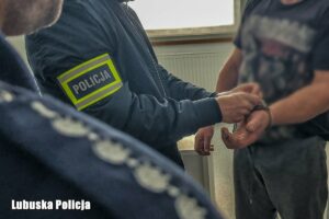 seryjny podpalacz las&oacute;w - pożary las&oacute;w Świebodzin