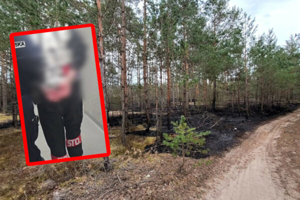strażak OSP podpalił las - areszt dla strażaka OSP