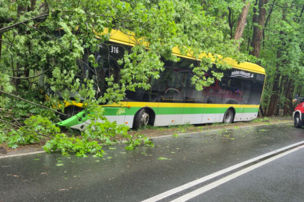 wypadek Zielona Góra - wypadek autobusu MZK Zielona Góra