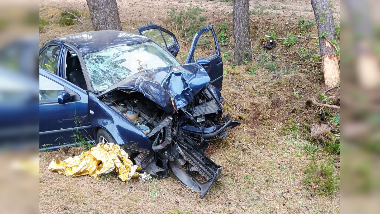 wypadek na DK24 - samochód rozbity o drzewo