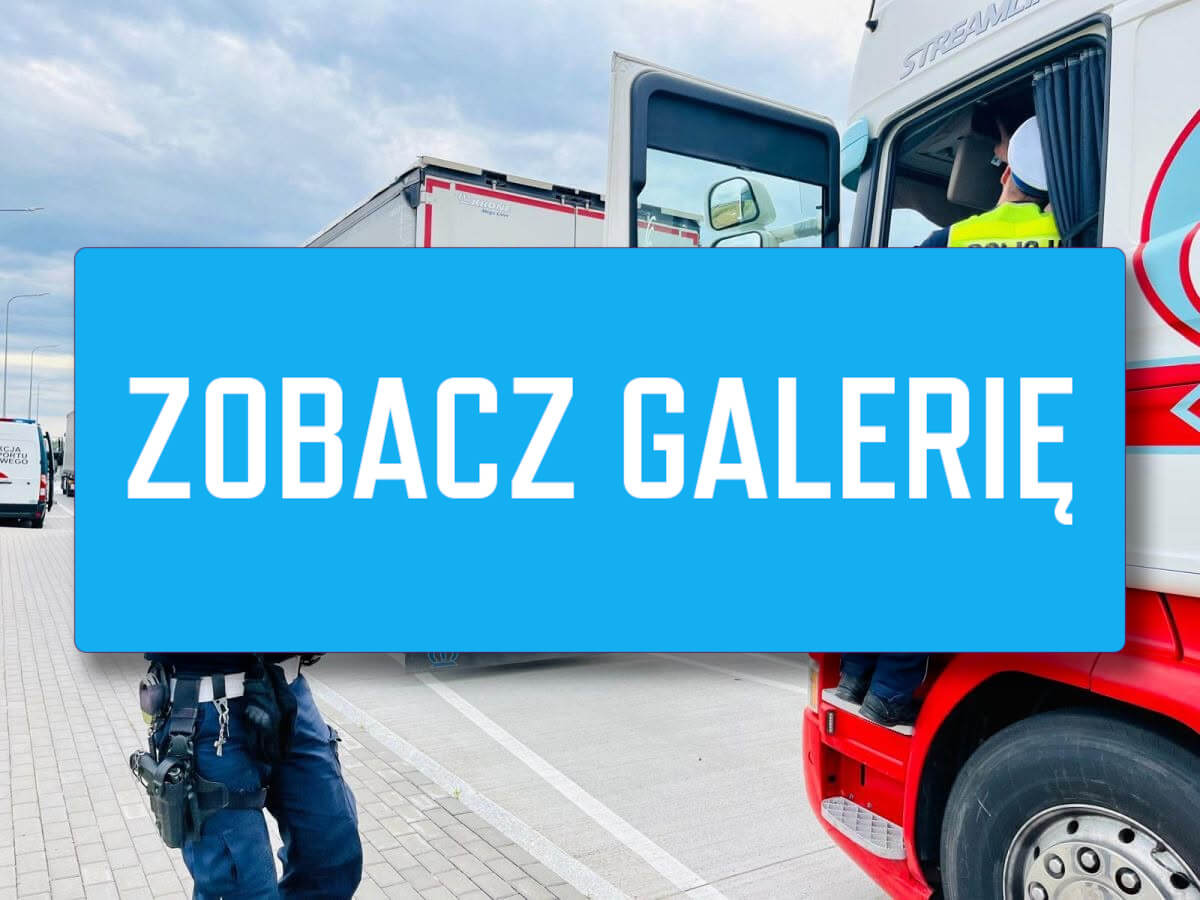 Duża akcja służb na S3. Kierowca stracił cały limit punktów karnych kontrola na S3 - punkty karne