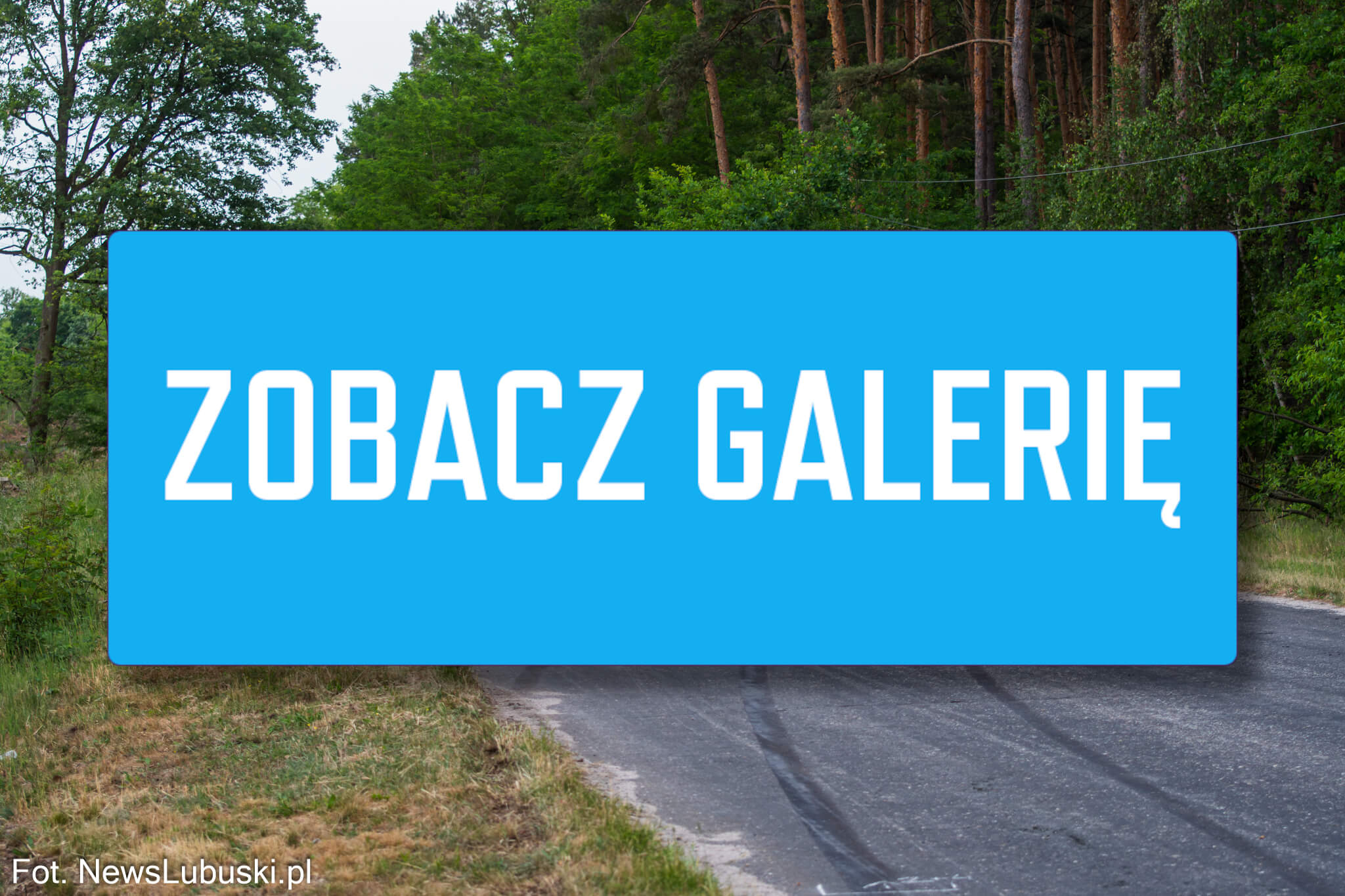 tragiczny wypadek Gubin - auto stanęło w płomieniach