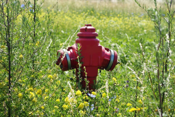 woda z hydrantów - gmina Czerwieńsk