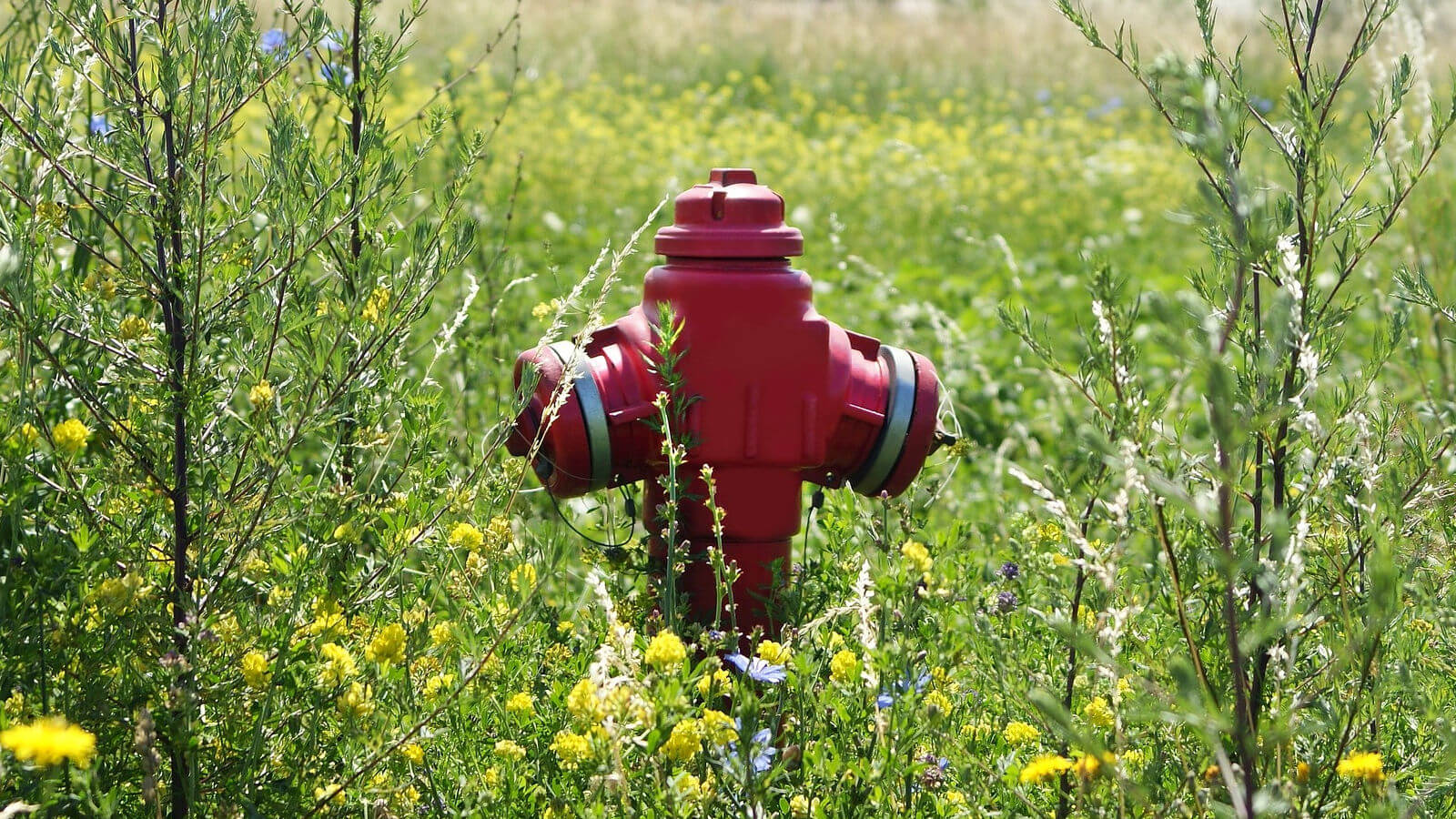 woda z hydrantów - gmina Czerwieńsk