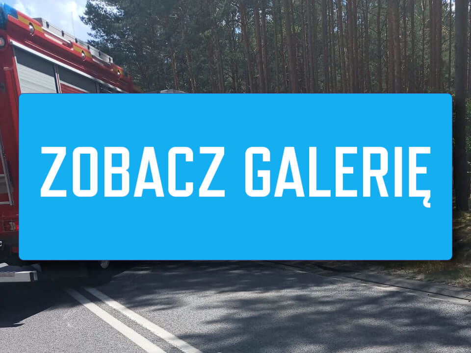 wypadek pod Lubskiem - wypadek Jasień DW287