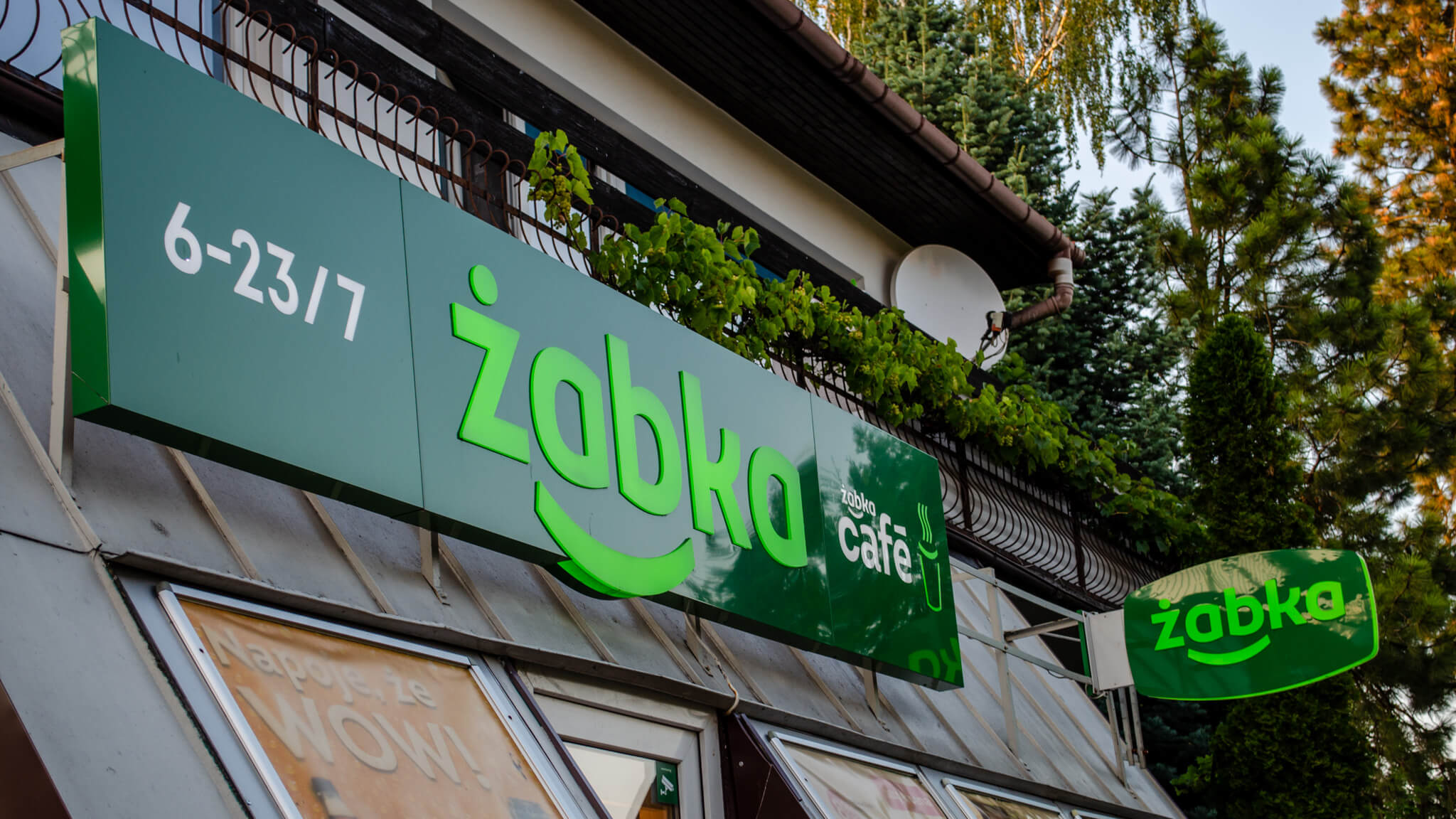 Żabka Boże Ciało - czy Żabka jest otwarta w Boże Ciało